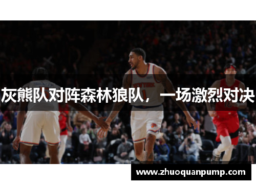 灰熊队对阵森林狼队，一场激烈对决