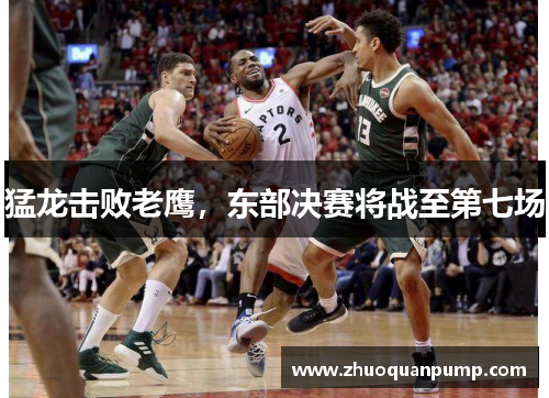 猛龙击败老鹰，东部决赛将战至第七场