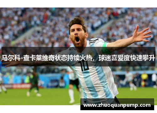 马尔科-查卡莱维奇状态持续火热，球迷喜爱度快速攀升