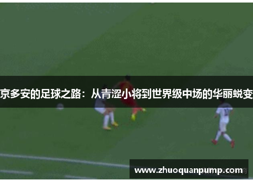 京多安的足球之路：从青涩小将到世界级中场的华丽蜕变